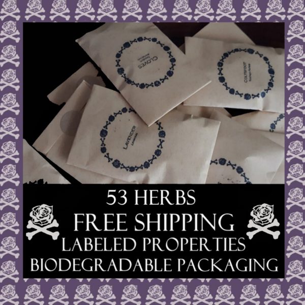 53 Labeled Witchcraft Herbs